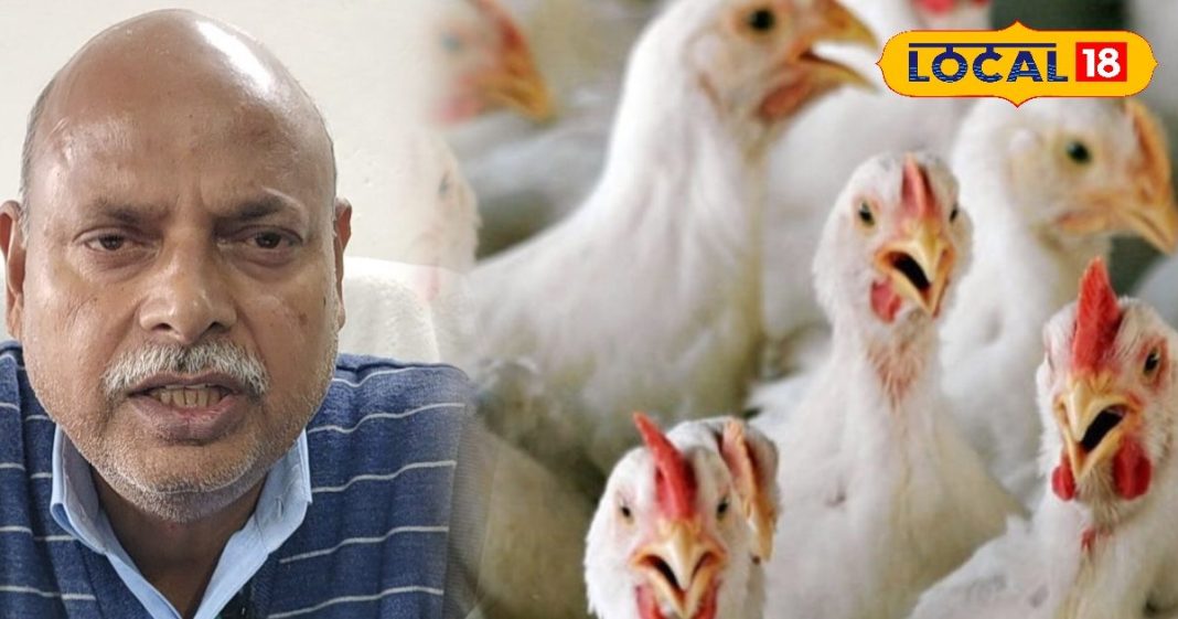 विभाग का अलर्ट! H5N1 बर्ड फ्लू ने झारखंड में मचाई हलचल, एक्सपर्ट से जानें कैसे करें बचाव