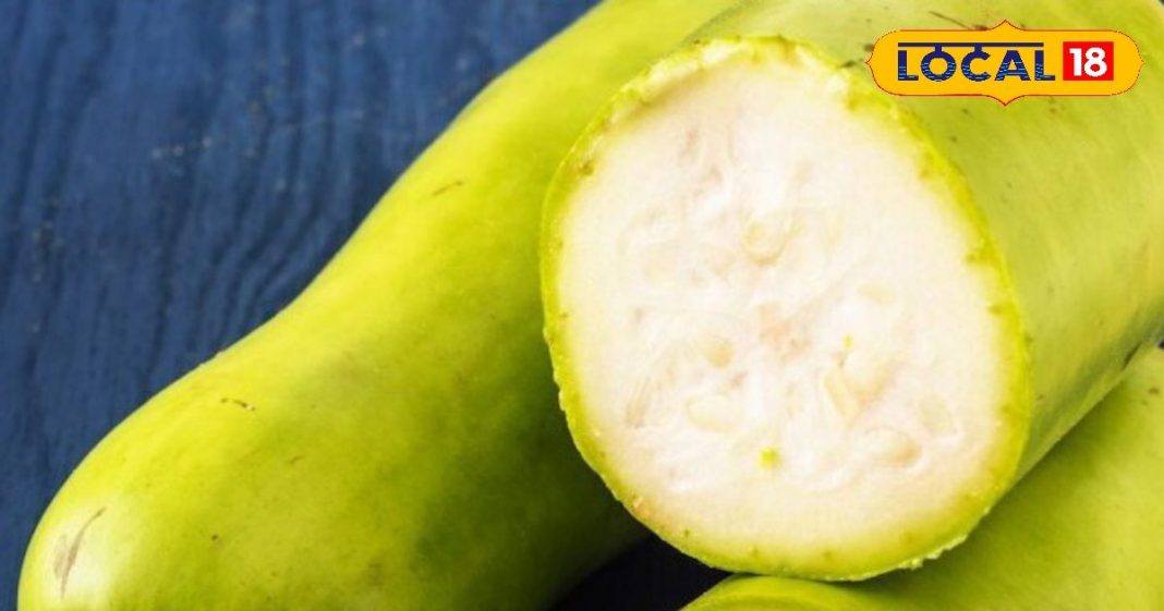 लौकी बन जाएगी आपके घर की फेवरेट, जानें टेस्टी और हेल्दी रेसिपीज की ये आसान ट्रिक