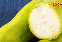 लौकी बन जाएगी आपके घर की फेवरेट, जानें टेस्टी और हेल्दी रेसिपीज की ये आसान ट्रिक