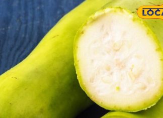 लौकी बन जाएगी आपके घर की फेवरेट, जानें टेस्टी और हेल्दी रेसिपीज की ये आसान ट्रिक