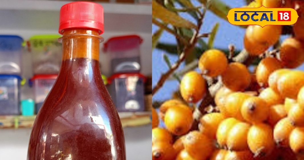 100 बीमारियों का रामबाण इलाज है ये पहाड़ी फल… कैंसर-डायबटिज में कारगर, ऐसे करें इस्तेमाल