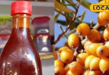 100 बीमारियों का रामबाण इलाज है ये पहाड़ी फल… कैंसर-डायबटिज में कारगर, ऐसे करें इस्तेमाल