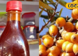 100 बीमारियों का रामबाण इलाज है ये पहाड़ी फल… कैंसर-डायबटिज में कारगर, ऐसे करें इस्तेमाल