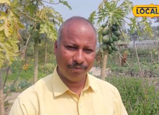 बुखार, सर्दी से लेकर कई बीमारियों में रामबाण है तुलसी, जानिए अनगिनत फायदे