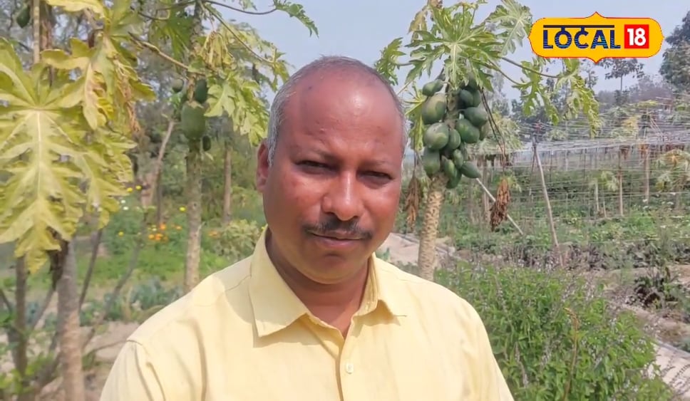 बुखार, सर्दी से लेकर कई बीमारियों में रामबाण है तुलसी, जानिए अनगिनत फायदे