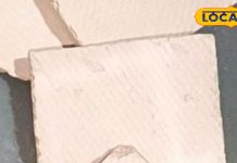 सिर्फ पान का स्वाद ही नहीं बढ़ाता, मलेरिया बुखार से लेकर अस्थमा सहित इतने रोगों में लाभदायक है कत्था