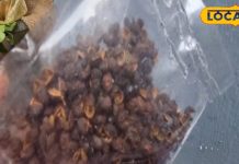 पाचन तंत्र को मजबूत करने में मददगार है ये बीज, जानें कैसे करें उपयोग – Bharat.one हिंदी