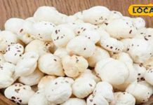 प्रोटीन, कैल्शियम, फाइबर, मैग्नीशियम से भरपूर है मखाना, सेवन मात्र से मिलेंगे गजब के फायदे – Bharat.one हिंदी