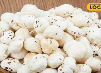 प्रोटीन, कैल्शियम, फाइबर, मैग्नीशियम से भरपूर है मखाना, सेवन मात्र से मिलेंगे गजब के फायदे – Bharat.one हिंदी