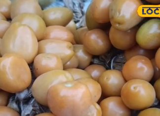 इस फल में है कई औषधीय गुण, इसके पत्ते भी दवा से ज्यादा कारगर ! – Bharat.one हिंदी