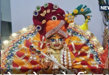 Laddu Gopal Bhog Niyam: लड्डू गोपाल को लगाते हैं चाय, कोल्ड ड्रिंक, बिस्कुट का भोग, तो जान लें ऐसा करना सही या गलत?