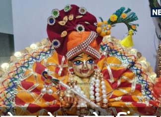 Laddu Gopal Bhog Niyam: लड्डू गोपाल को लगाते हैं चाय, कोल्ड ड्रिंक, बिस्कुट का भोग, तो जान लें ऐसा करना सही या गलत?