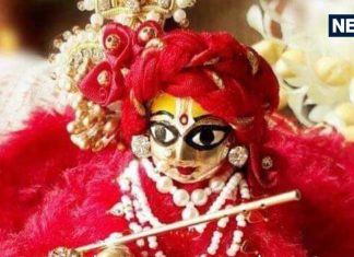 Laddu Gopal Puja Niyam: लड्डू गोपाल को अपने साथ सफर में ले जाना कितना सही? देखिए क्या कहते हैं पंडित जी