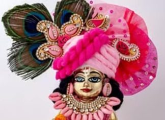 Laddu Gopal: लड्डू गोपाल की चाहते हैं कृपा? घर में स्थापित करते समय इन नियमों का जरूर करें पालन