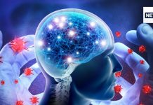 कोरोना से लंबे समय तक परेशान लोगों के दिमाग में होने लगी सूजन, याददाश्त और एकाग्रता में भारी कमी रिसर्च में चौंकाने वाला खुलासा