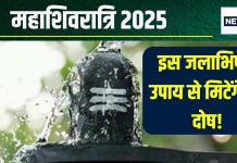 Maha Shivratri 2025 Upay: महाशिवरात्रि पर गंगाजल में मिलाएं ये वस्तुएं, शिवजी का करें जलाभिषेक, ग्रह दोष होंगे दूर, दिखेगा असर!