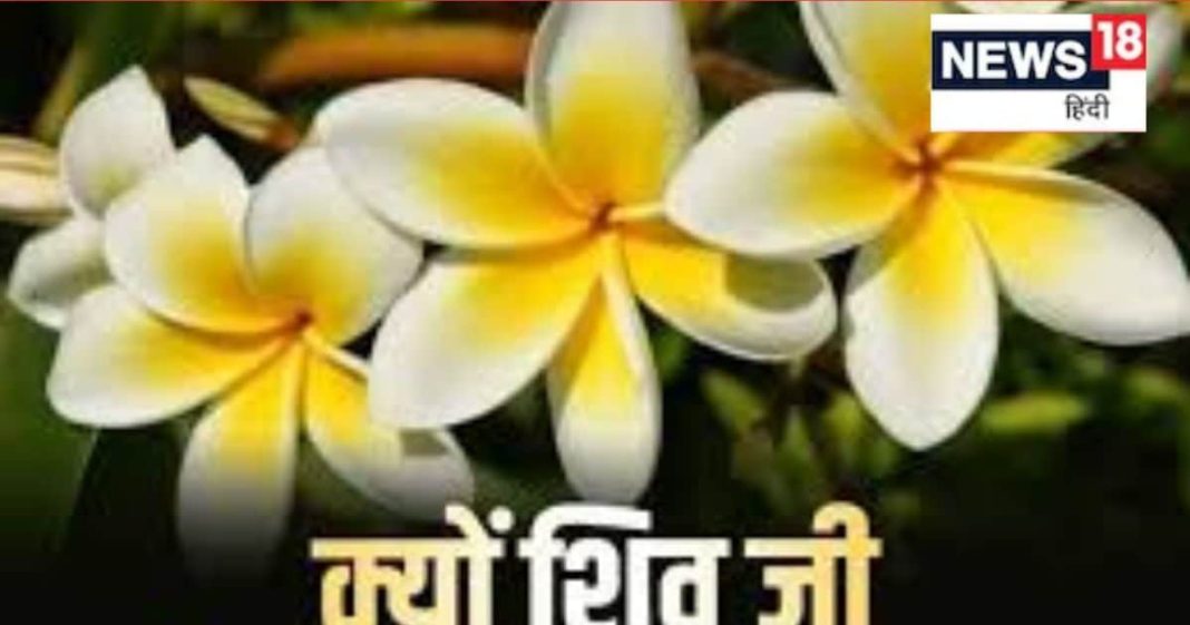 Maha Shivratri 2025: भूलकर भी महादेव को शिवरात्रि मे मत चढ़ा देना ये फूल,स्वयं महादेव ने कहा- पूजा में नहीं चढ़ेगा यह फूल