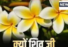 Maha Shivratri 2025: भूलकर भी महादेव को शिवरात्रि मे मत चढ़ा देना ये फूल,स्वयं महादेव ने कहा- पूजा में नहीं चढ़ेगा यह फूल