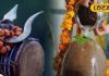 Mahashivratri 2025 पर करें राशि के हिसाब से दान, बन जाएंगे बिगड़े काम, होगी पैसों की बारिश