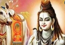 Mahashivratri 2025: महाशिवरात्रि पर भद्रा का काला साया, कब और कैसे करें पूजा? यहां मिलेगी व्रत से जुड़ी हर जानकारी