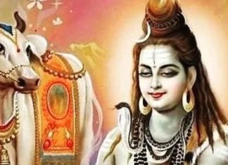 Mahashivratri 2025: महाशिवरात्रि पर भद्रा का काला साया, कब और कैसे करें पूजा? यहां मिलेगी व्रत से जुड़ी हर जानकारी