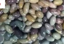 Narmadeshwar Shivling: नर्मदा नदी के पत्थरों को शिवलिंग क्यों माना जाता है? जानें नर्मदेश्वर शिवलिंग की मान्यता और पूजा लाभ