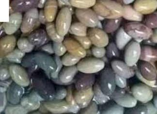 Narmadeshwar Shivling: नर्मदा नदी के पत्थरों को शिवलिंग क्यों माना जाता है? जानें नर्मदेश्वर शिवलिंग की मान्यता और पूजा लाभ