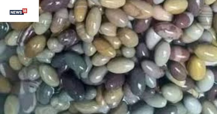 Narmadeshwar Shivling: नर्मदा नदी के पत्थरों को शिवलिंग क्यों माना