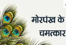 Peacock Feather Benefits:घर में मोरपंख रखने से कालसर्प दोष और बीमारियों के साथ आर्थिक तंगी से मिलेगी मुक्ति! जानें आसान उपाय