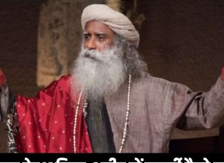 3 चीजों को खाना छोड़ दीजिए, घोड़े की तरह शरीर में आ जाएगी फूर्ति, सदगुरु ने बताए शानदार टिप्स