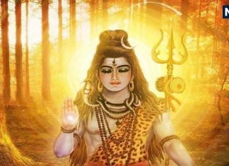 Shiv Puran: धन और मोक्ष प्राप्ति के लिए इस तरह करें भगवान शिव की पूजा, शिवपुराण का जानें रहस्य