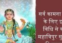 Tripura Sundari Worship: विवाह के लिए नहीं मिल रहा अच्छा रिश्ता? गुप्त नवरात्रि में करें ये विशेष साधना, मिलेगा लाभ