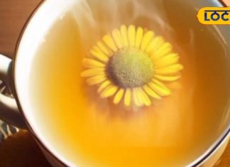 ब्लड प्रेशर और कोलेस्ट्रॉल को नियंत्रित करती है लौंग की चाय, डायबिटीज में भी फायदेमंद – Bharat.one हिंदी