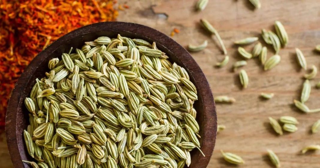 सौंफ के फायदे: पाचन से लेकर त्वचा तक, जानें इसके अद्भुत गुण.