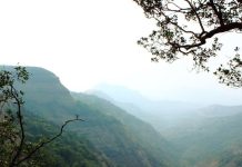 दिल्ली से धनोल्टी: उत्तराखंड के खूबसूरत हिल स्टेशन की यात्रा.