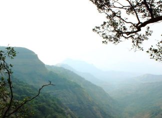 दिल्ली से धनोल्टी: उत्तराखंड के खूबसूरत हिल स्टेशन की यात्रा.