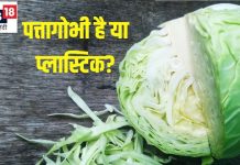 अरे! ये कैसी पत्तागोभी? युवक ने ऑनलाइन मंगाई सब्जी, शक दूर करने के लिए किया ये काम