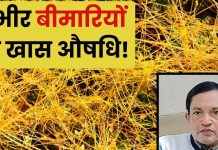 मर्दों की खास औषधि है यह फ्री की बेल, नपुंसकता दूर करने में प्रभावी! एक्सपर्ट से जानें 4 हैरान करने वाले फायदे