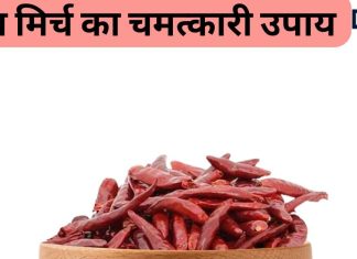 Astro Tips: लाल मिर्च का ये उपाय बना देगा आपके सारे बिगड़े काम, तरक्की के भी खुलेंगे रास्ते
