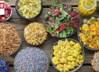 सिर से लेकर पैर तक के लिए फायदेमंद ये 5 फूल, औषधीय गुणों का खजाना, पाचन, दिल, त्वचा रोग रखे दूर