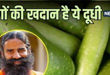 लौकी के फायदे: बाबा रामदेव की बताई रेसिपीज से बनाएं पौष्टिक आहार