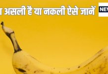 90% लोग नहीं जानते असली-नकली केले का फर्क, पहचानना है तो जरूर जान लें ये अंतर