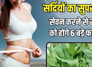 सर्दियों के The End से पहले खाना शुरू करें ये साग, सेहत को होंगे 6 बड़े फायदे, साल में मिलता है सिर्फ 3 माह