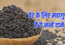 2-3 चुटकी इस नन्हें से काले दाने का रोज करें सेवन, पेट अंदर से हो जाएगा क्लीन