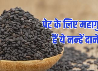 2-3 चुटकी इस नन्हें से काले दाने का रोज करें सेवन, पेट अंदर से हो जाएगा क्लीन