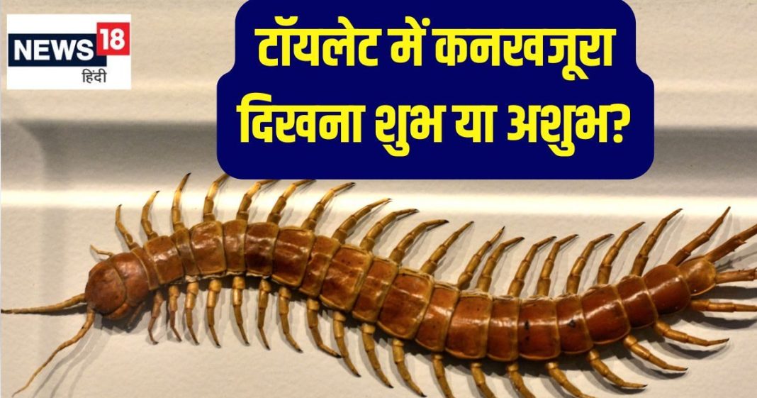 घर में कनखजूरे का दिखना शुभ या अशुभ? जानें ज्योतिषाचार्य की राय