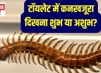 घर में कनखजूरे का दिखना शुभ या अशुभ? जानें ज्योतिषाचार्य की राय