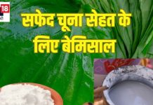 ये सफेद चीज बीमारियों को लगाती है चूना, इंफर्टिलिटी से जूझ रहे दंपति के लिए संजीवनी, पुरुषों में बढ़ाए स्पर्म काउंट