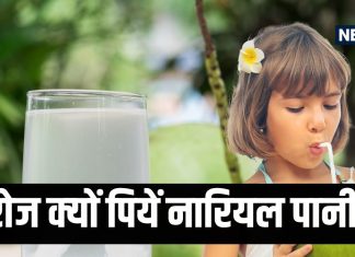 बदलते मौसम में रोज पिएं नारियल पानी, इम्यूनिटी रहेगी स्ट्रॉन्ग, बीमारियों से बचाव में करेगा मदद, जानें इसके फायदे
