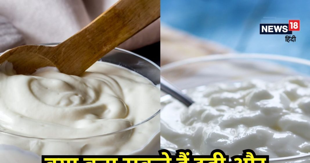 क्या है दही और योगर्ट में अंतर! 90% लोग समझते हैं एक ही… यहां जानें दोनों के फायदे